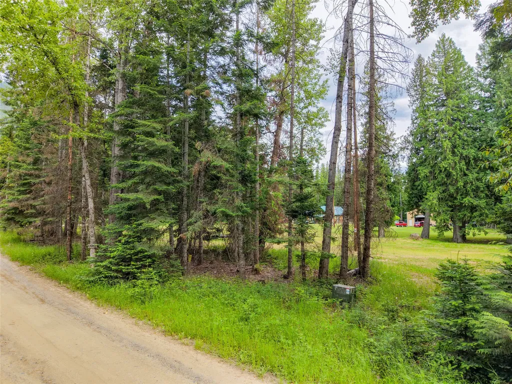 214 Mountain View Drive Troy MT 59935