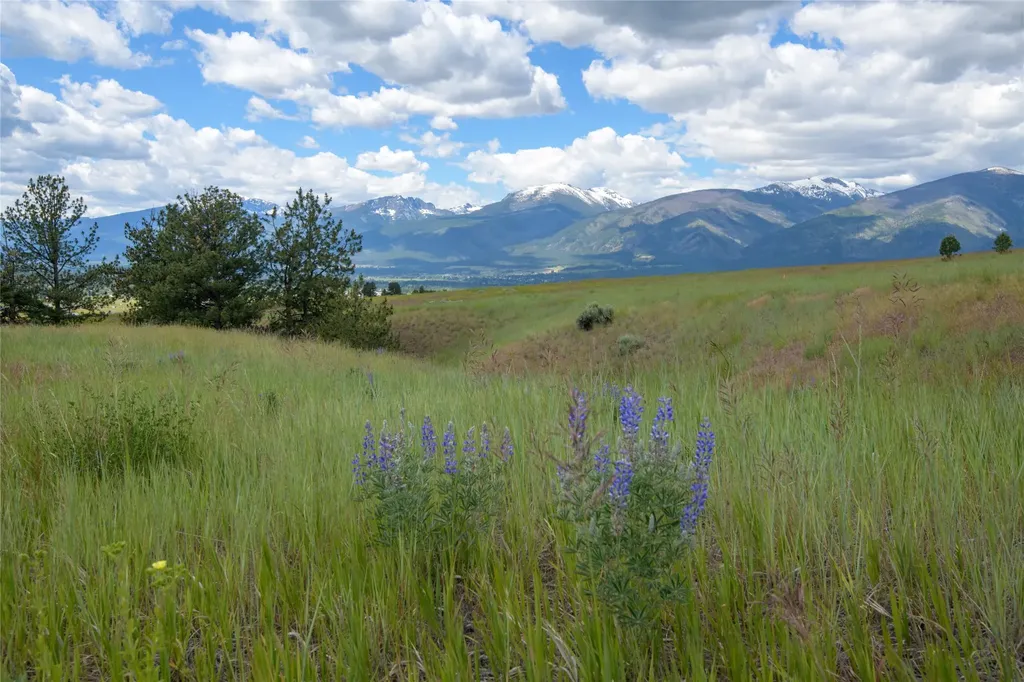 Lot 5b High Post Court Florence MT 59833