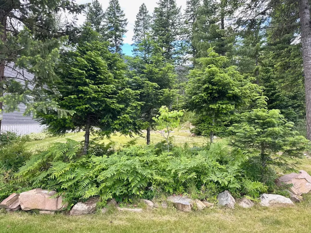 95 Triple J Loop Trout Creek MT 59874