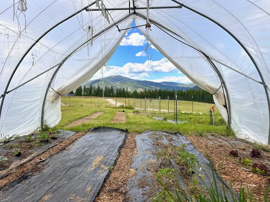 95 Triple J Loop Trout Creek MT 59874