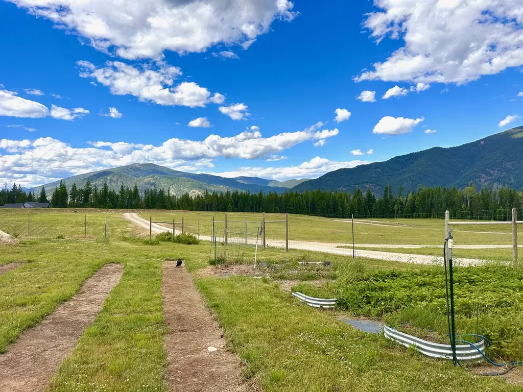 95 Triple J Loop Trout Creek MT 59874