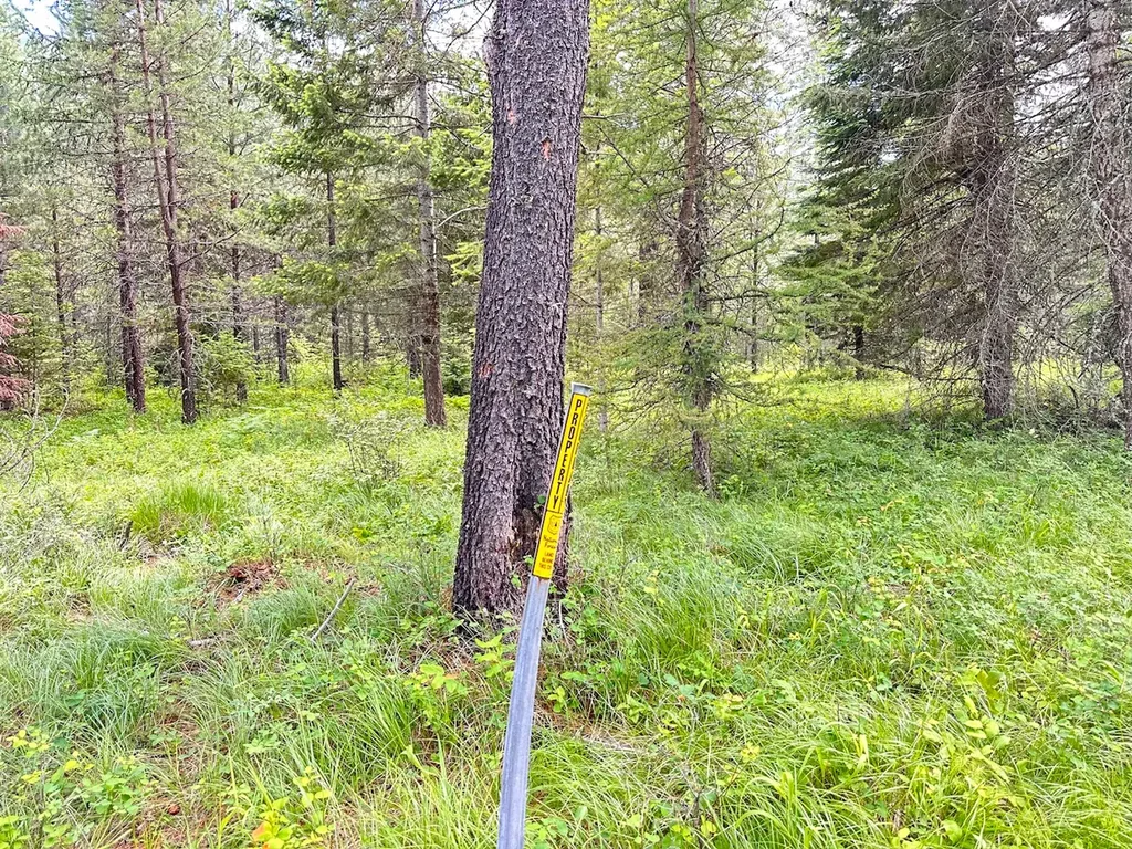 95 Triple J Loop Trout Creek MT 59874