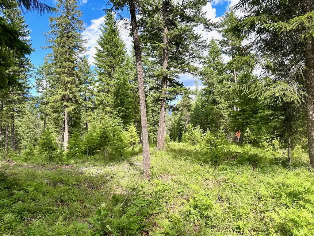 95 Triple J Loop Trout Creek MT 59874
