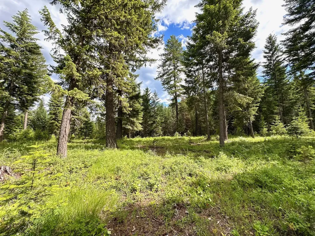 95 Triple J Loop Trout Creek MT 59874