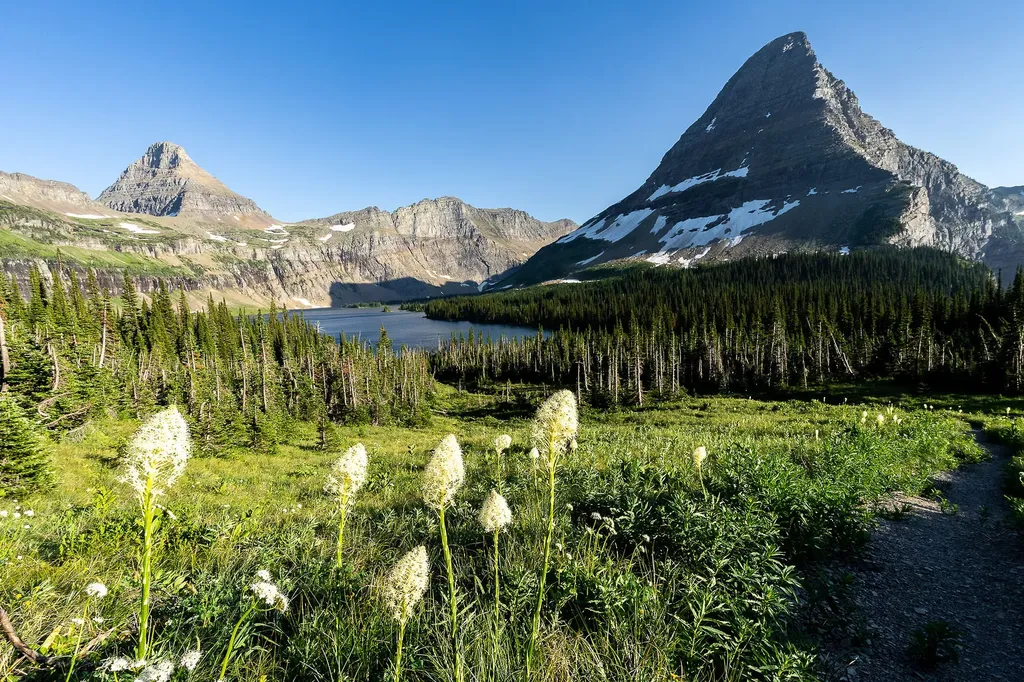12100 Us Highway 2 E West Glacier MT 59936