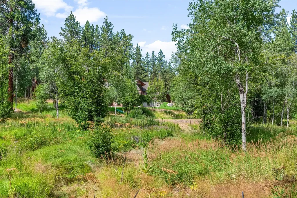 729 Sheafman Creek Road Hamilton MT 59840