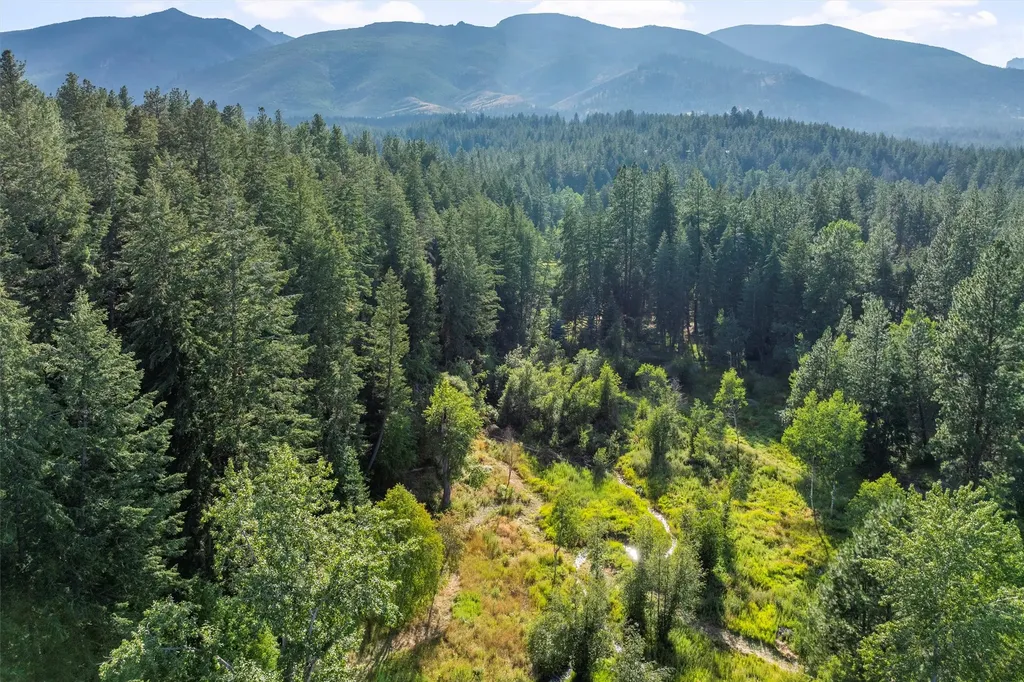 729 Sheafman Creek Road Hamilton MT 59840