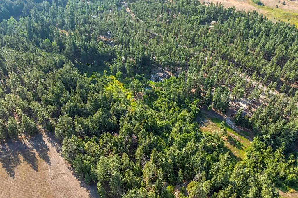 729 Sheafman Creek Road Hamilton MT 59840