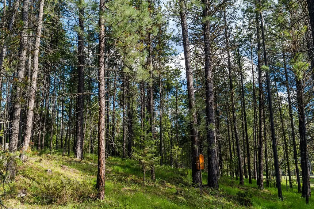 9343 Us Hwy 2 W Marion MT 59925