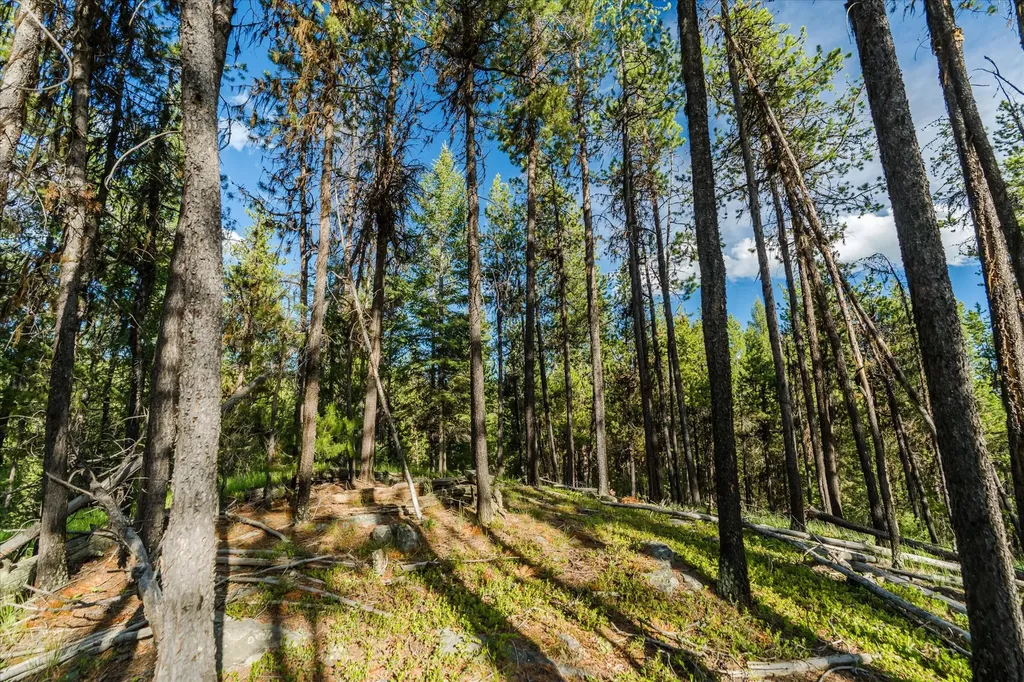 9343 Us Hwy 2 W Marion MT 59925