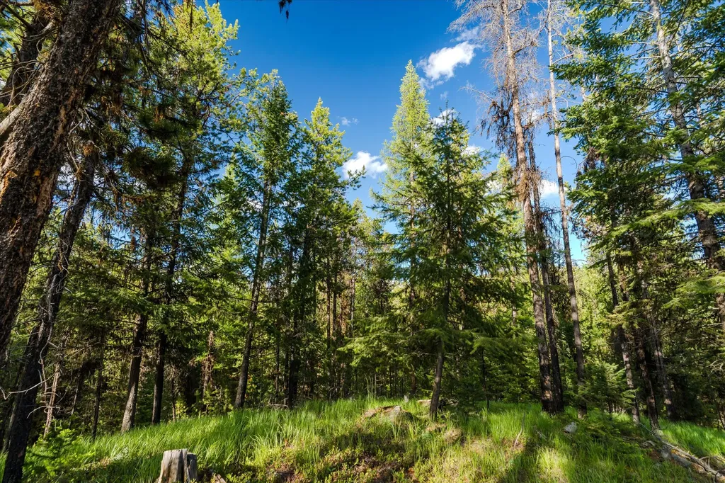 9343 Us Hwy 2 W Marion MT 59925