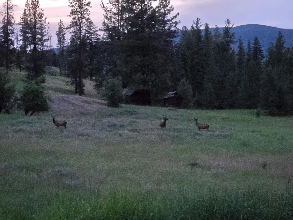 230 Verde Creek Road Superior MT 59872