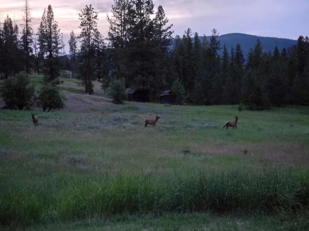 230 Verde Creek Road Superior MT 59872