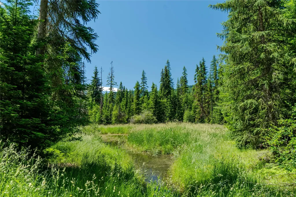 32 Whitepine Creek Road Trout Creek MT 59874