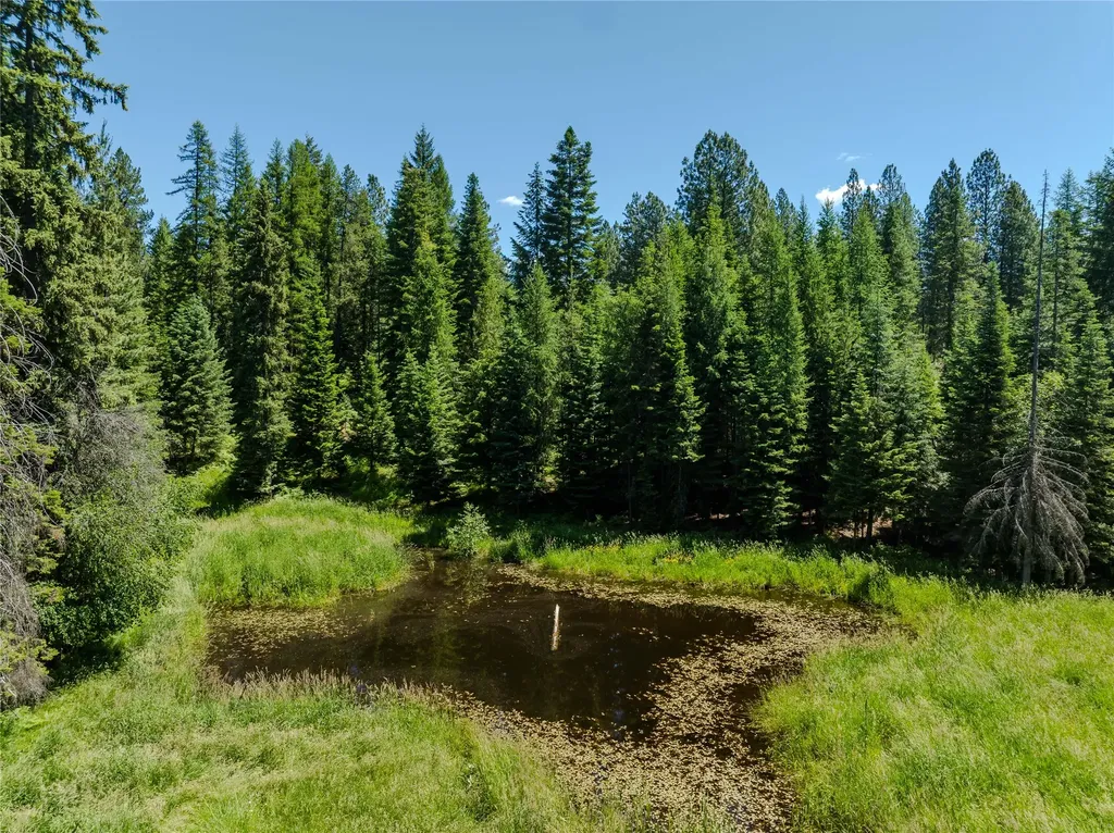 32 Whitepine Creek Road Trout Creek MT 59874