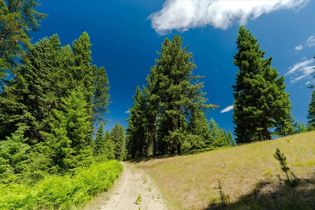 32 Whitepine Creek Road Trout Creek MT 59874