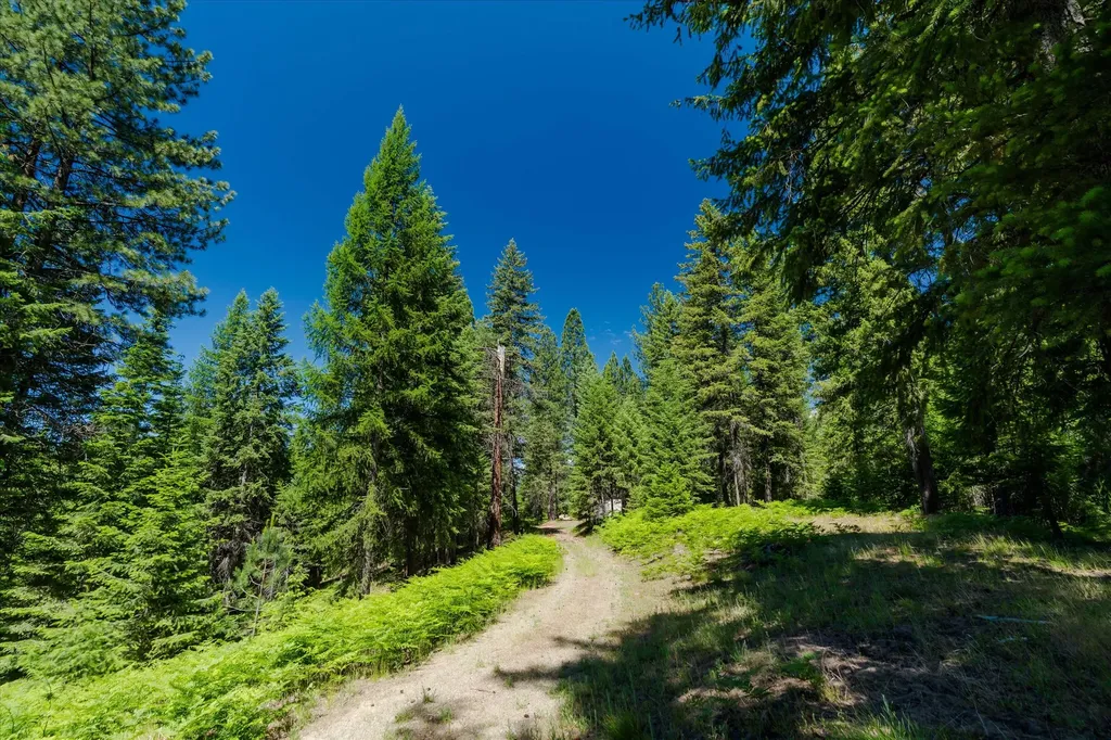 32 Whitepine Creek Road Trout Creek MT 59874