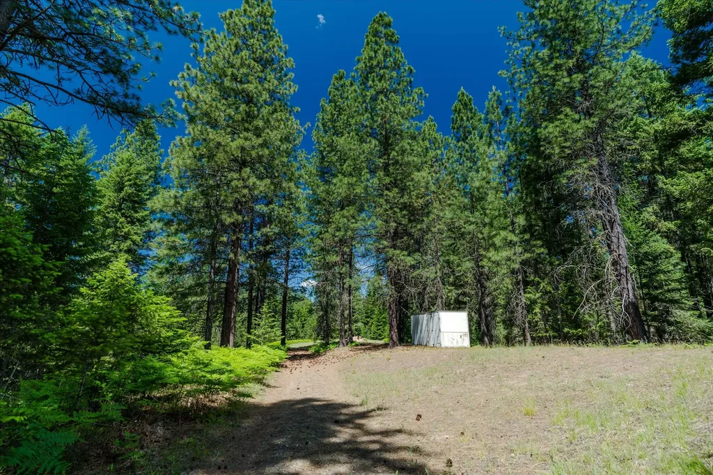 32 Whitepine Creek Road Trout Creek MT 59874