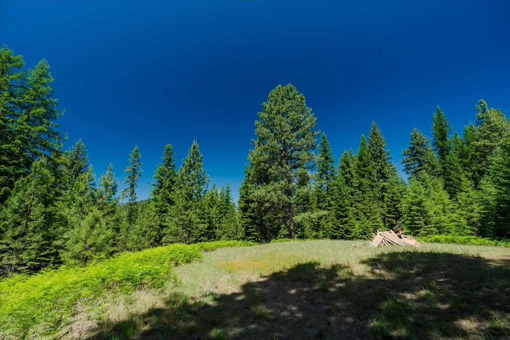 32 Whitepine Creek Road Trout Creek MT 59874