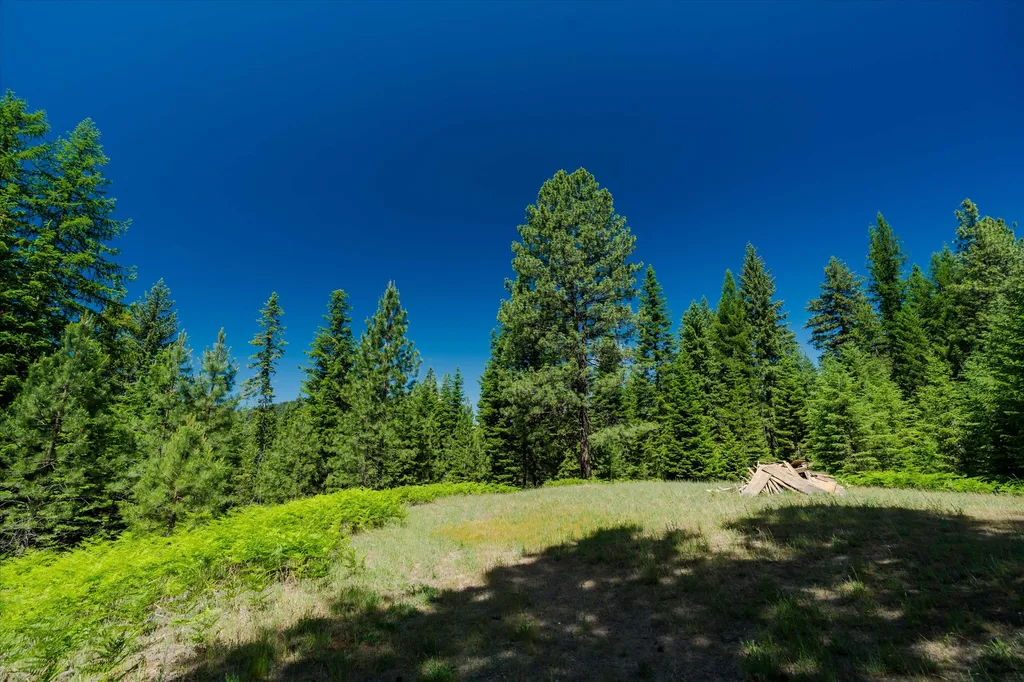 32 Whitepine Creek Road Trout Creek MT 59874