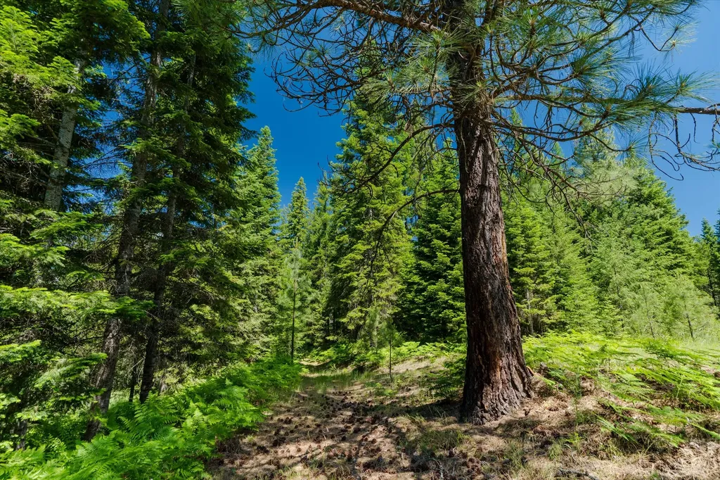 32 Whitepine Creek Road Trout Creek MT 59874
