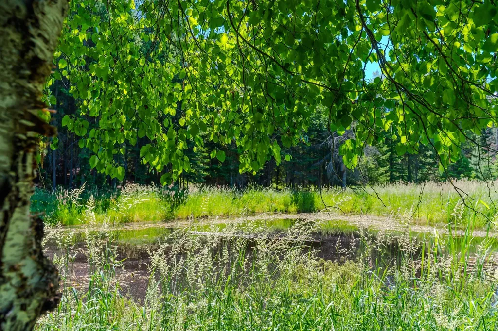 32 Whitepine Creek Road Trout Creek MT 59874
