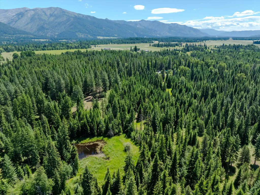 32 Whitepine Creek Road Trout Creek MT 59874