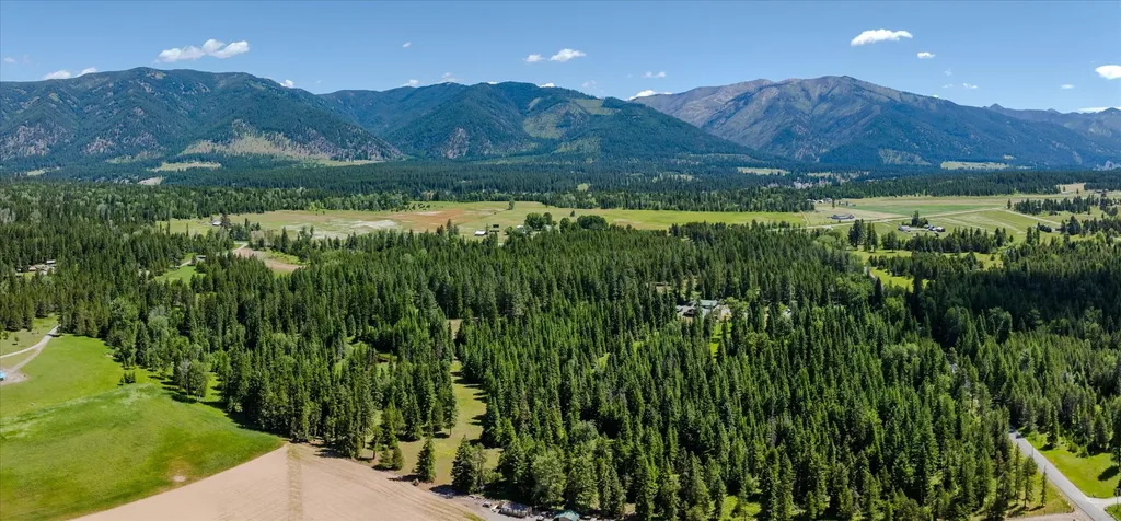 32 Whitepine Creek Road Trout Creek MT 59874