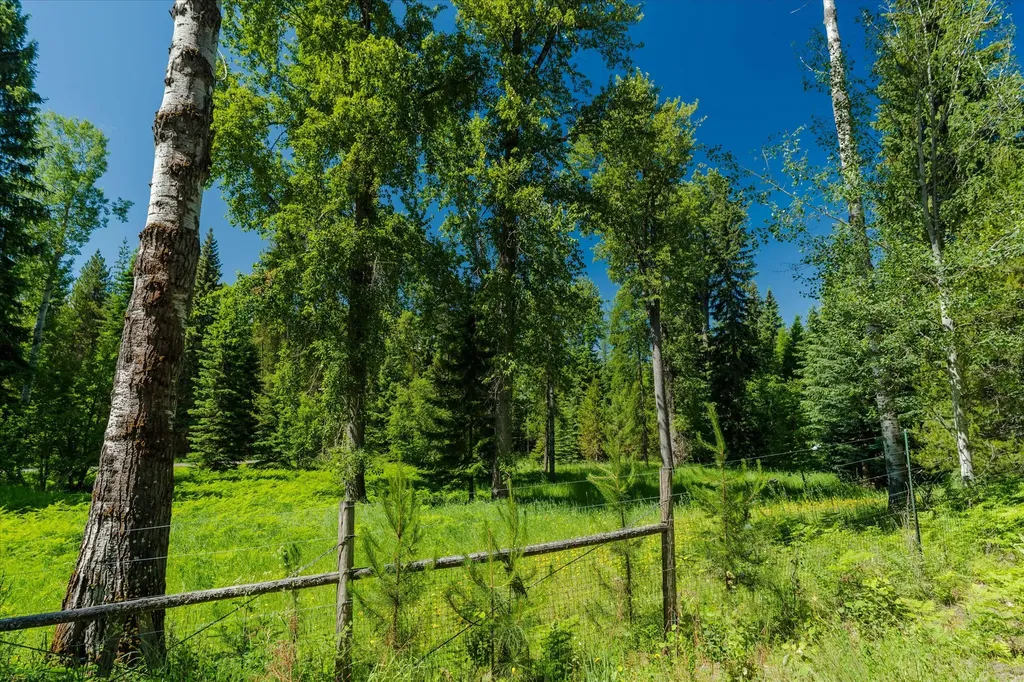 32 Whitepine Creek Road Trout Creek MT 59874