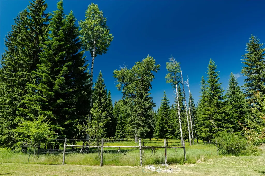 32 Whitepine Creek Road Trout Creek MT 59874