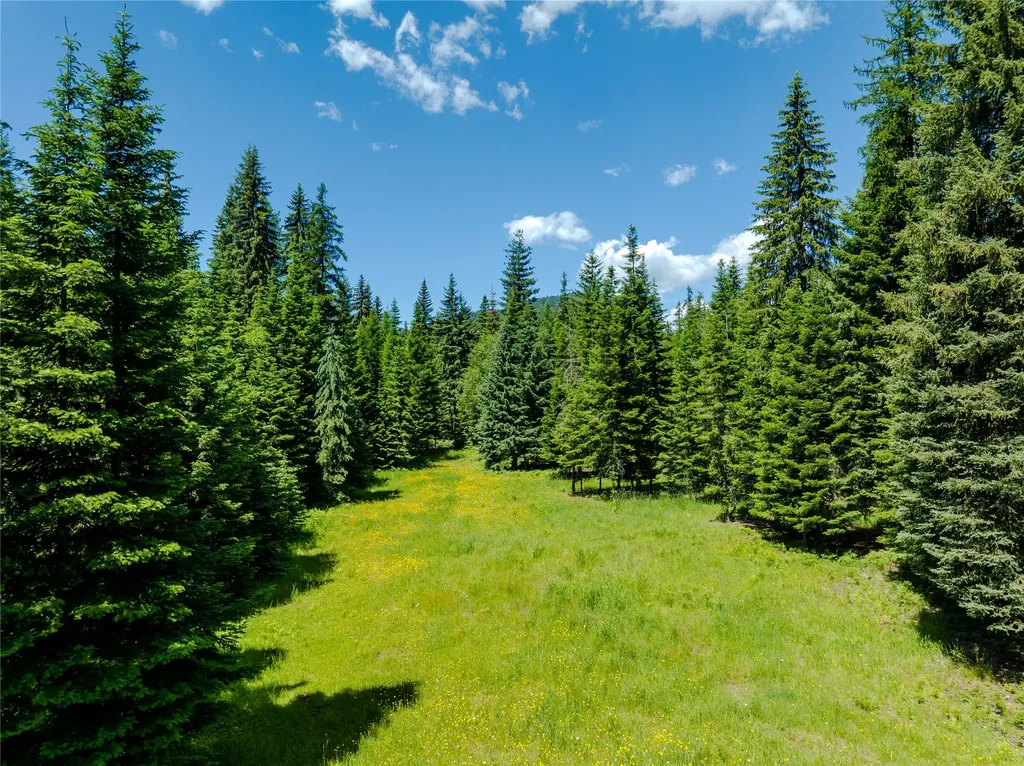 32 Whitepine Creek Road Trout Creek MT 59874