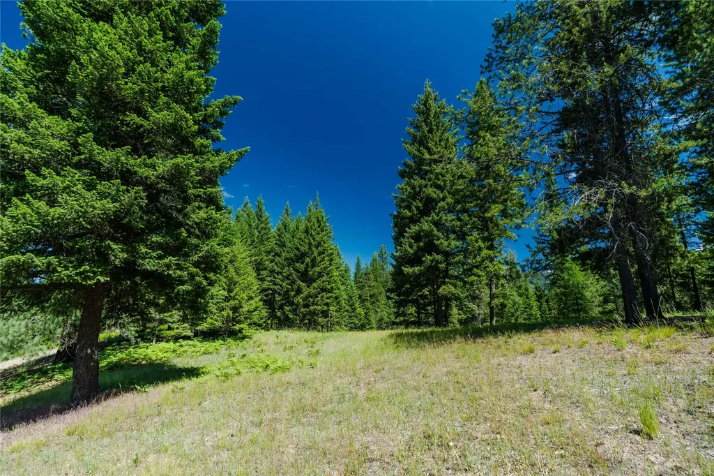 32 Whitepine Creek Road Trout Creek MT 59874