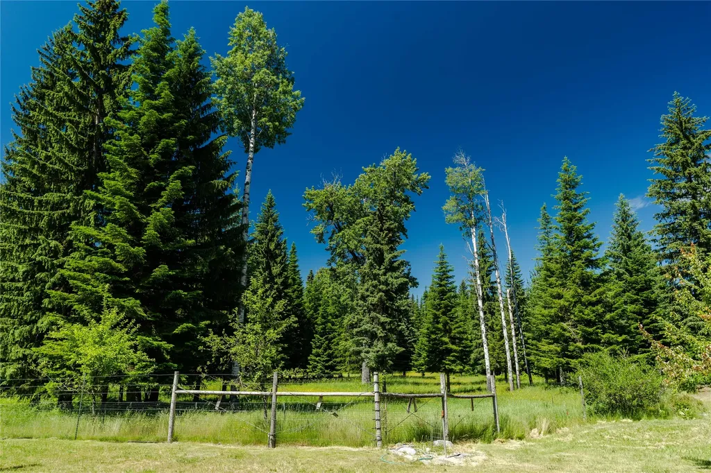 32 Whitepine Creek Road Trout Creek MT 59874