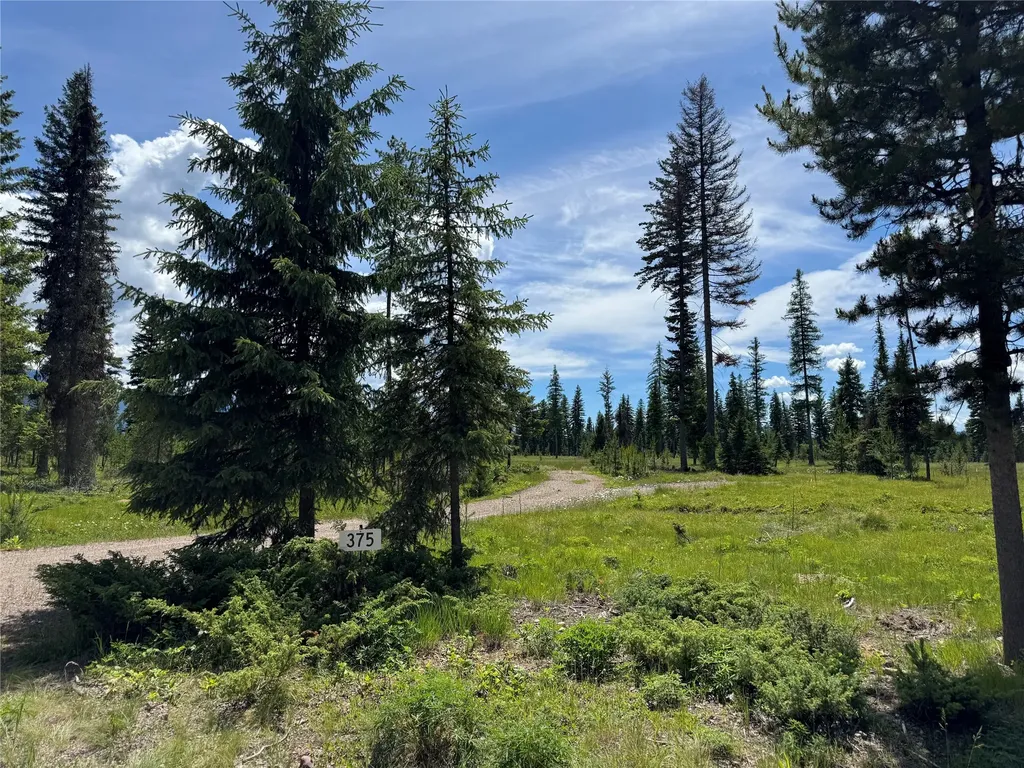 375 Remicks Road Condon MT 59826