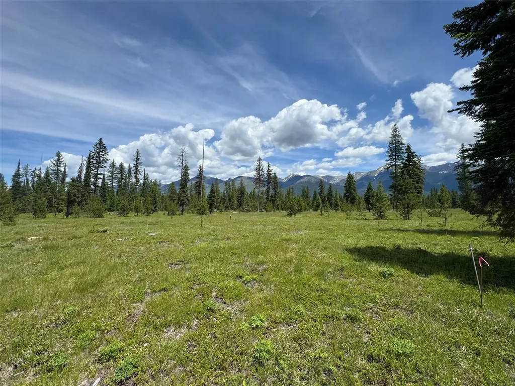 375 Remicks Road Condon MT 59826