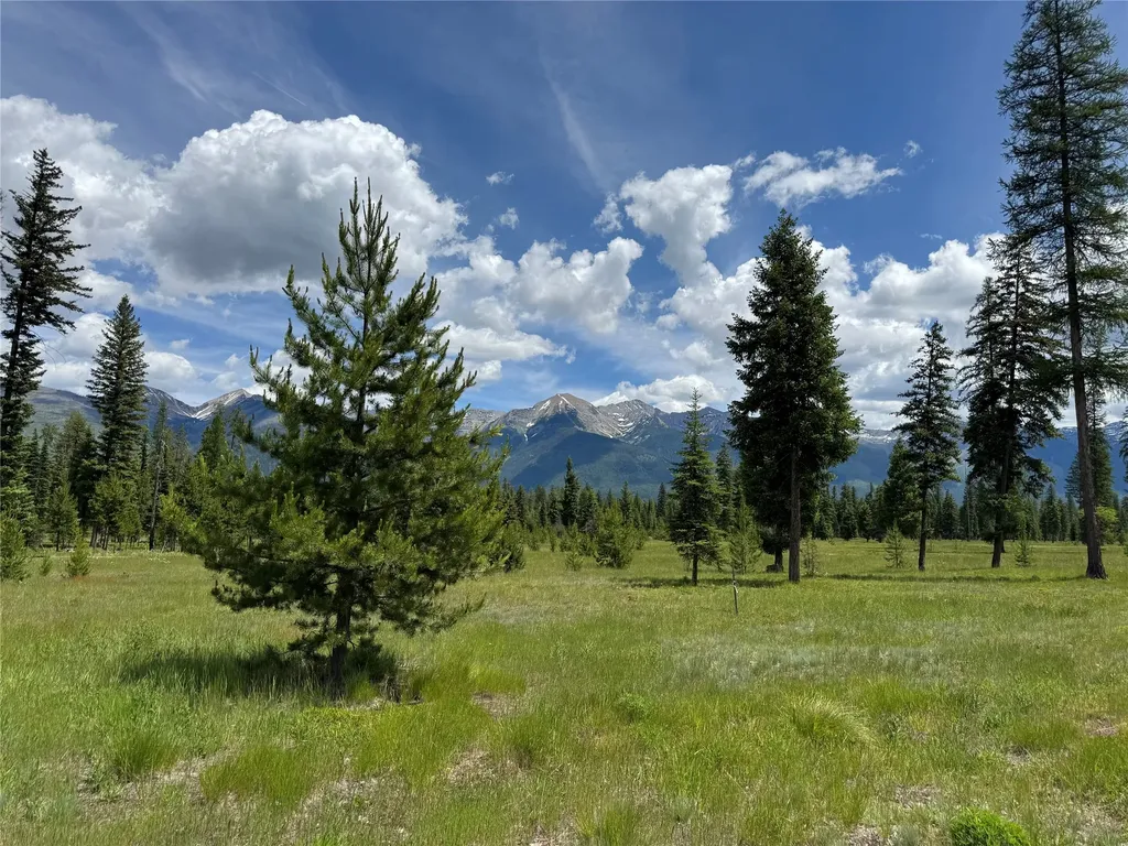 375 Remicks Road Condon MT 59826