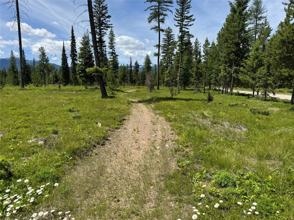 375 Remicks Road Condon MT 59826