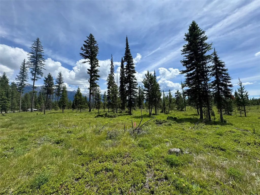 375 Remicks Road Condon MT 59826