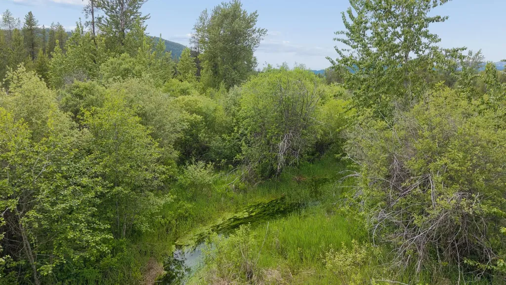 4989 Blankenship Road Columbia Falls MT 59912