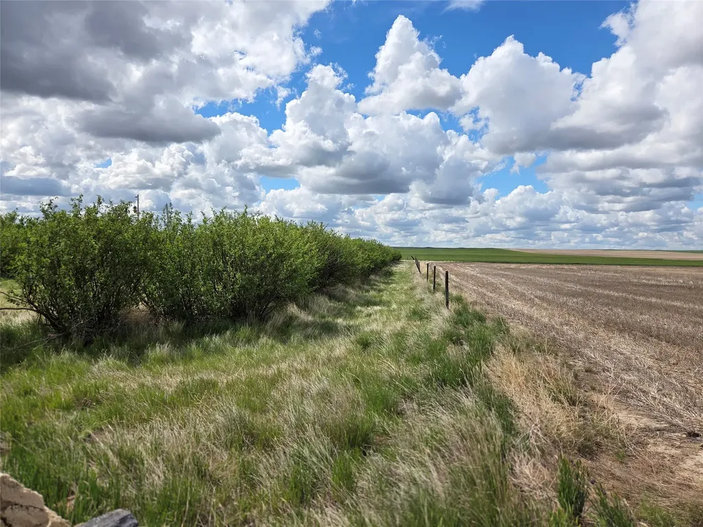 390 W Comwell Road Brady MT 59416