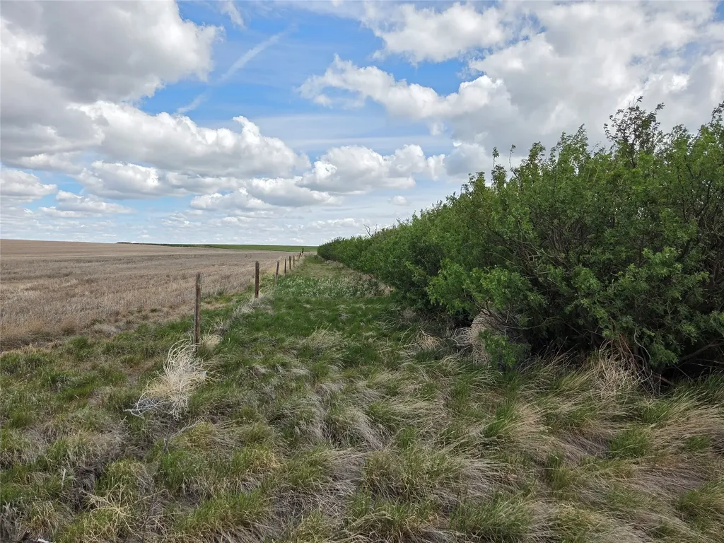 390 W Comwell Road Brady MT 59416