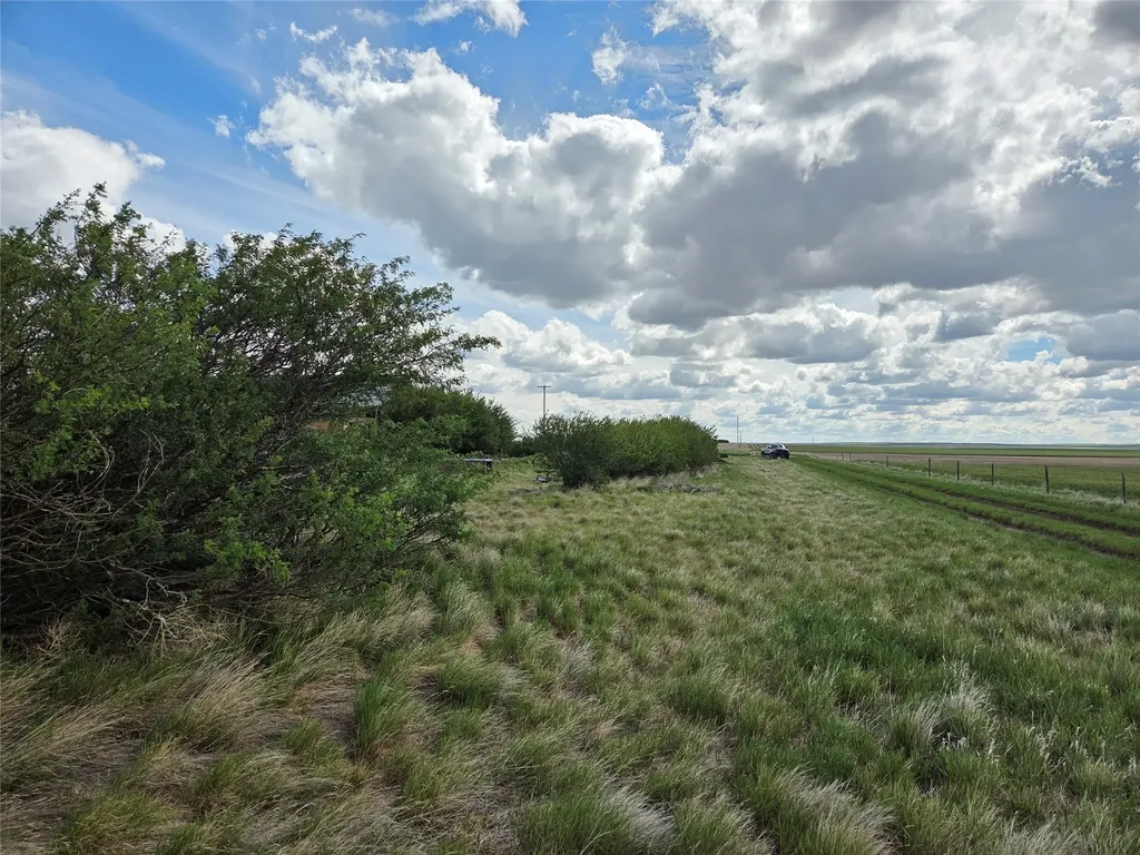 390 W Comwell Road Brady MT 59416