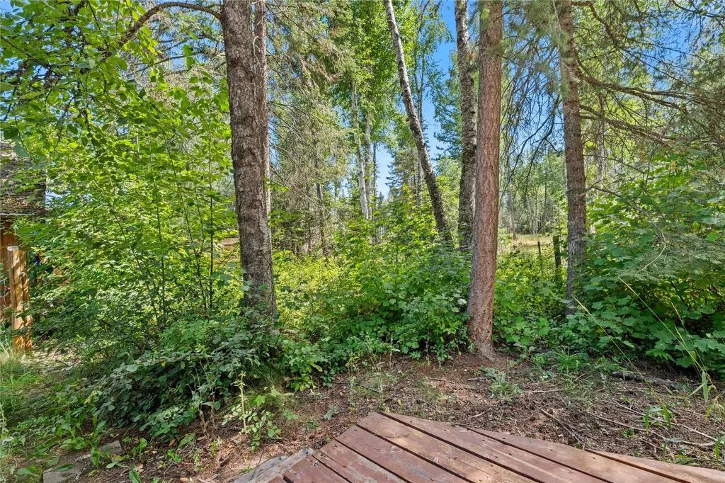 160 Alpine Drive Bigfork MT 59911