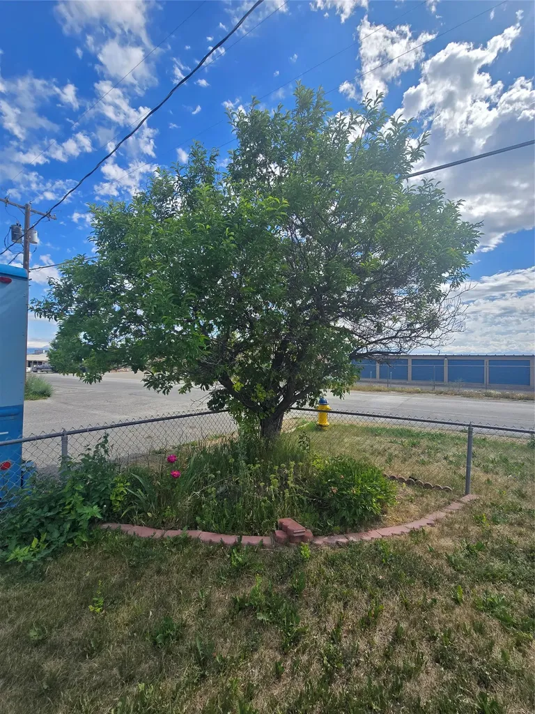 2995 Prospect Avenue Helena MT 59601