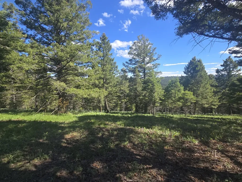 28 Muskrat Road Helmville MT 59843