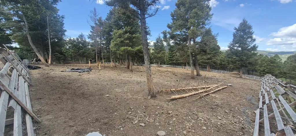 28 Muskrat Road Helmville MT 59843