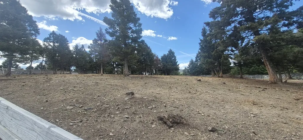 28 Muskrat Road Helmville MT 59843