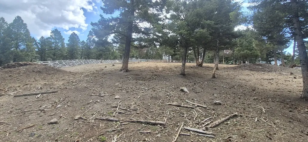 28 Muskrat Road Helmville MT 59843