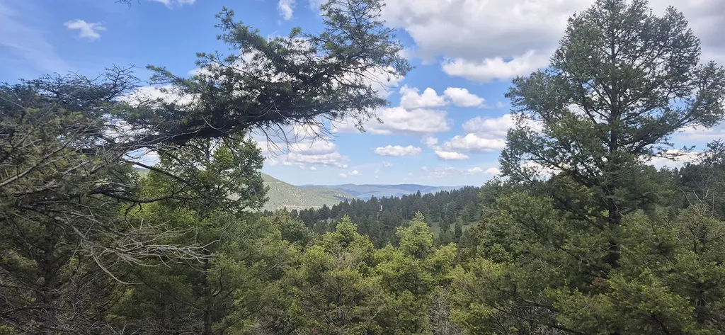 28 Muskrat Road Helmville MT 59843