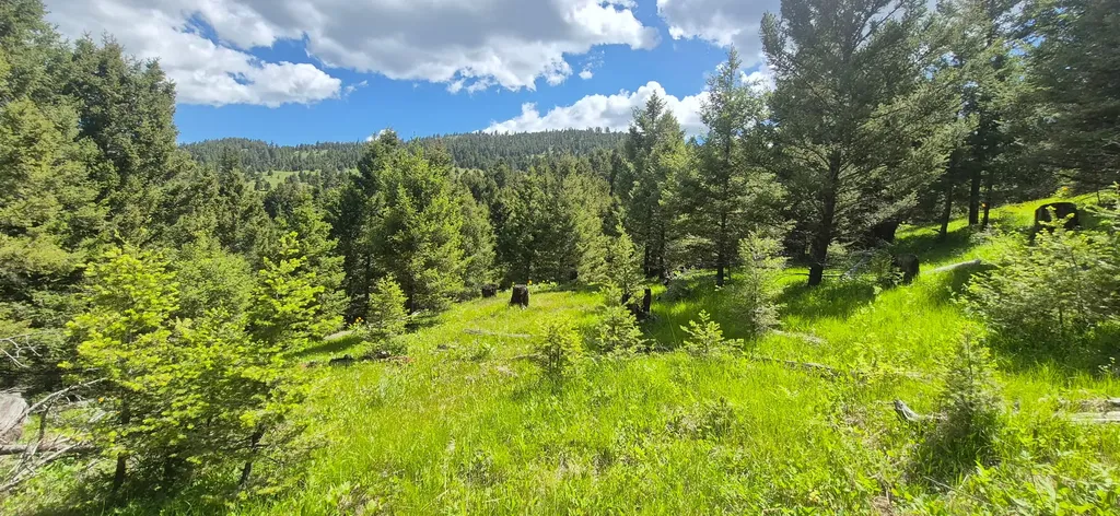 28 Muskrat Road Helmville MT 59843